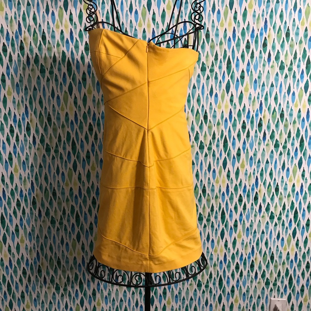 Brand New With Tags Cynthia Steffe dress - Picture 2 of 5